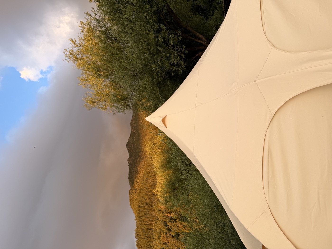 Carpa exterior con árboles dorados al atardecer