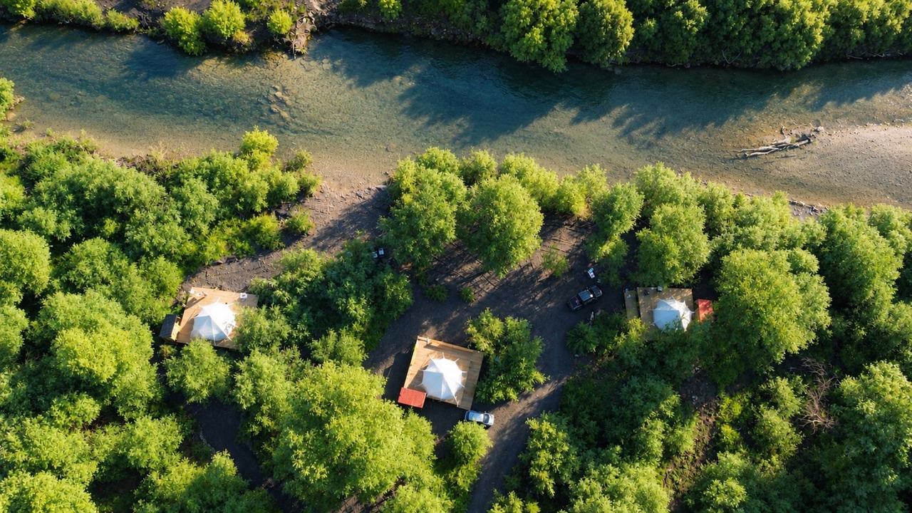 Vista aérea de las carpas entre los árboles, junto al río