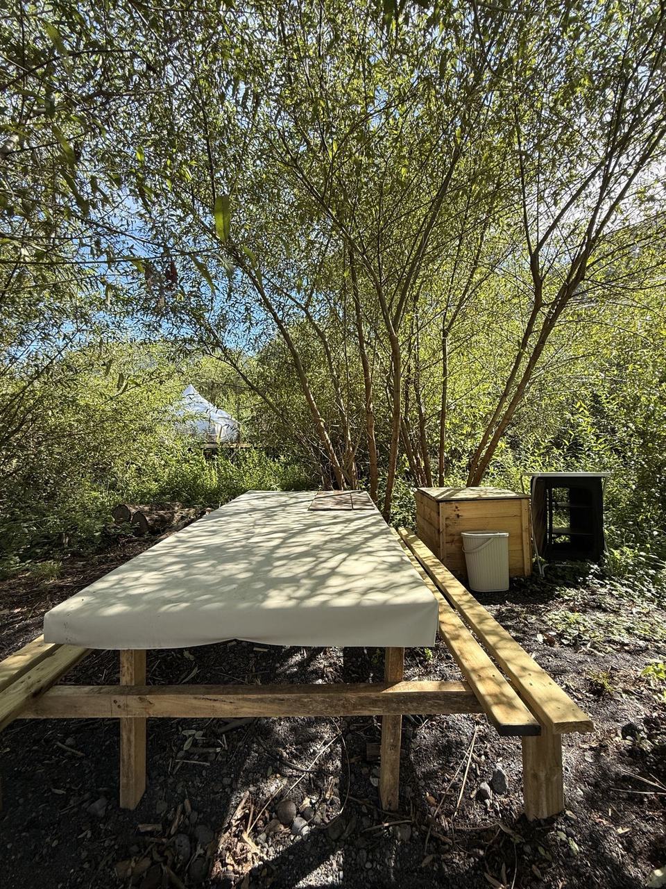 Mesa de picnic entre los sauces