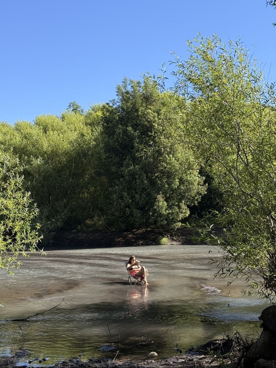 Un perro jugando en el río
